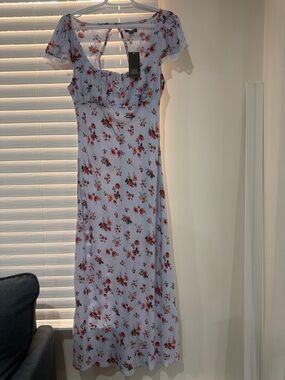 wild fable Light Blue Floral Maxi Dress with Red Roses